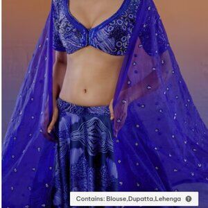 Blue Thick Satin   Print Lehenga  Payal & Zinal (Extremely Beautiful/Vibrant)